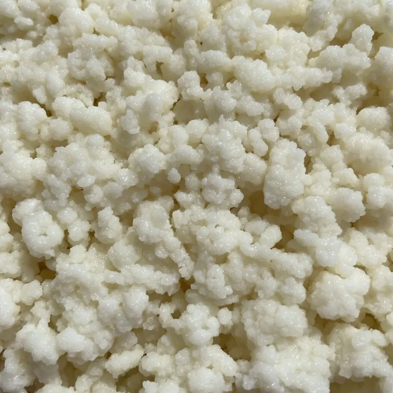 Nódulos de kéfir de leche
